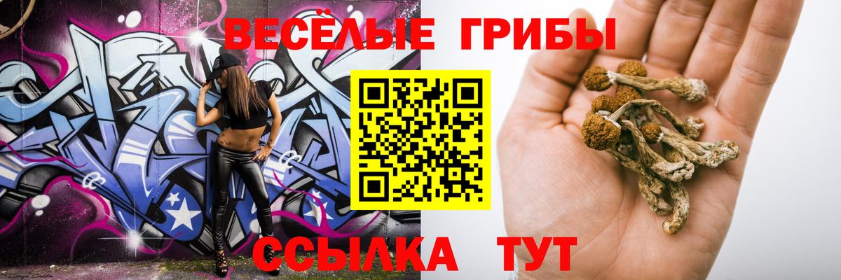 Урус-Мартан  Галлюциногенные грибы MAGIC MUSHROOMS  Вход с VPN 
